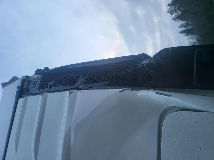 TOVORNO VOZILO MAN TGX 18 510 L 2022